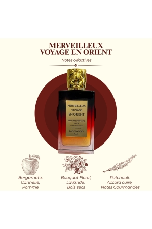 Merveilleux voyage en Orient
