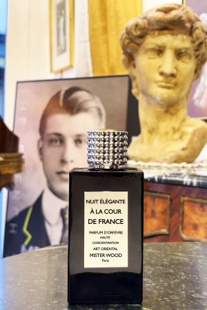 Nuit élégante à la cour de France